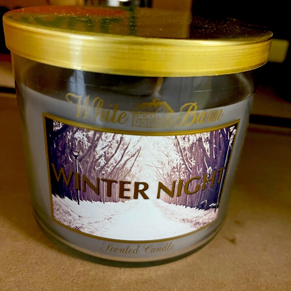 Retired Bath & Bodyworks Candle Winter Night